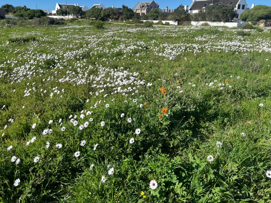 0 Bedroom Property for Sale in Jacobsbaai Western Cape